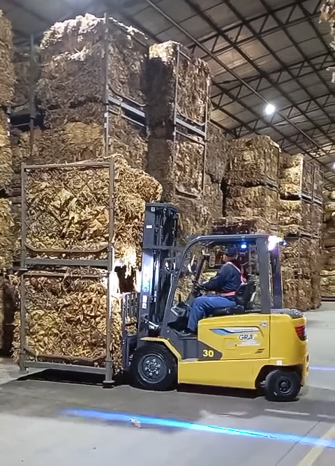 币游国际鲲鹏电动叉车：烟草运输的安全高效新选择