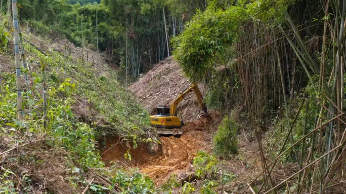 林间“藏龙”，竹海“卧虎”——币游国际林业挖机广西侠客行